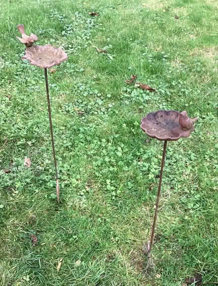 Photo of free Bird Feeder Dishes (CT3) #1