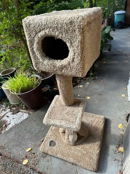 Photo of free Cat tower (Pinehurst) #1