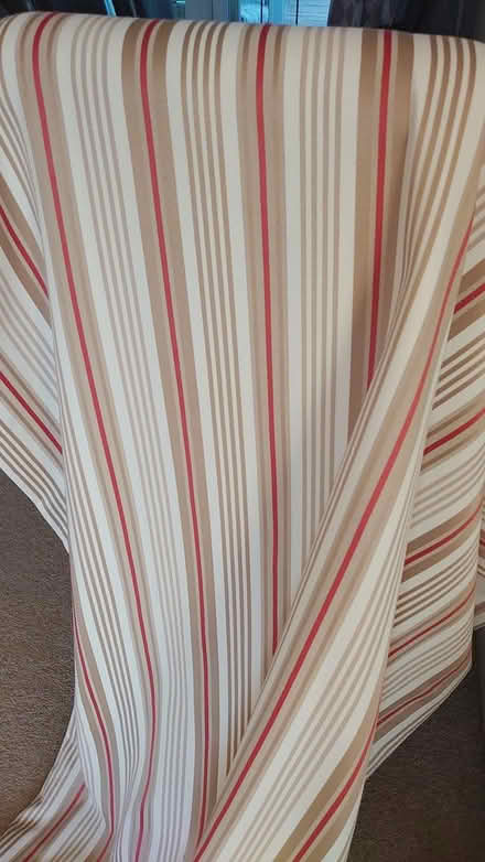 Photo of free Pair of eyelet curtains (West Bedhampton) #1