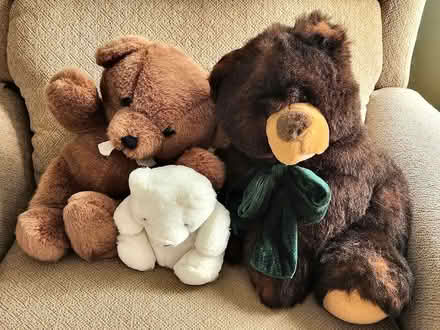 Photo of free 3 stuffed bears (Clinton Corners) #1