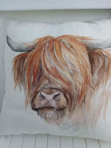 Photo of free Highland cow cushion (Carbis Bay TR26) #1