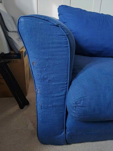 Photo of free Sofa bed (Larkfield) #3