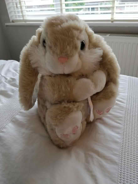 Photo of free Classic Keel Soft Toy (BN43) #1