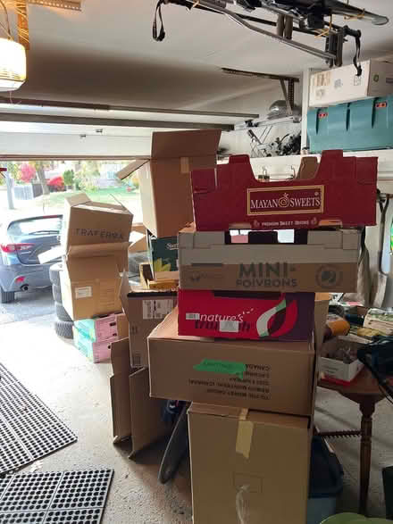 Photo of free Moving/packing boxes (Port Union) #1