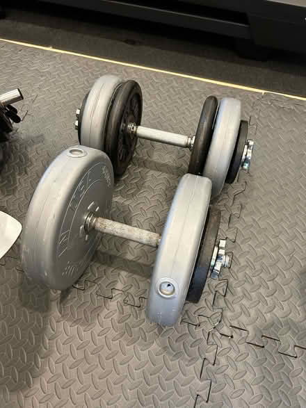 Photo of free Curl Bar and Dumbbells with Weights (Palenville, NY) #3