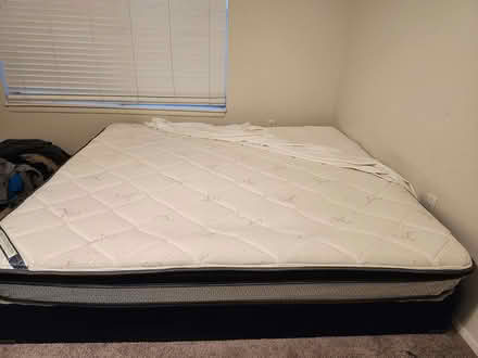 Photo of free king size bed (Largo) #3