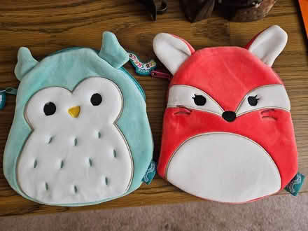 Photo of free squishmallow pouches (North Denton (288 & 2164)) #1