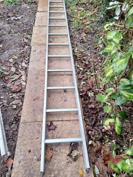 Photo of free ladders (Wendover HP22) #1