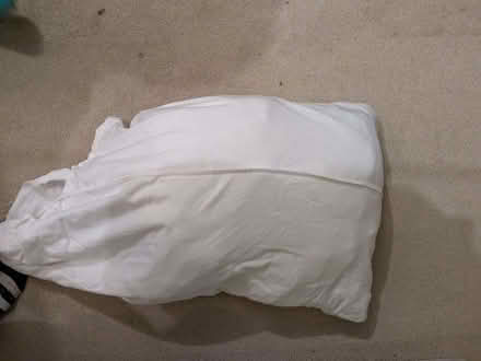 Photo of free Chimney pillow (Brockley SE4) #1