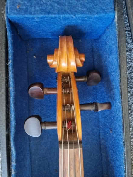 Photo of free Viola (in need of TLC) (West End LA3) #2