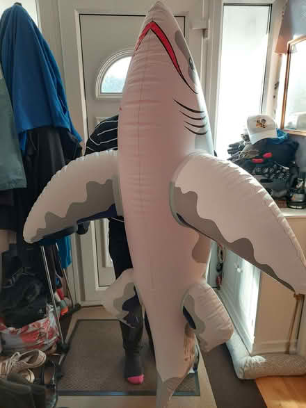 Photo of free 5ft inflatable pirate shark (Hanham BS15) #2