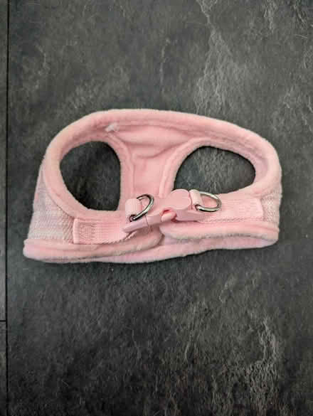 Photo of free 2 Chihuahua size harnesses (Chessington KT9) #2