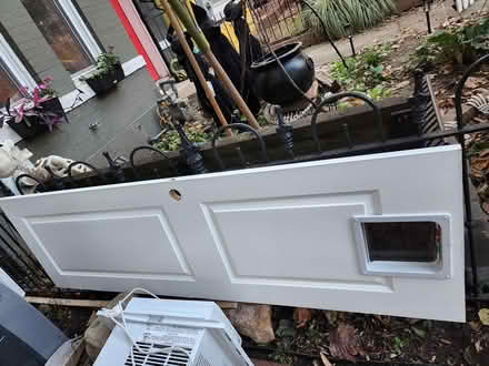 Photo of free 24x80 interior door w/cat door (NoMa /H St NE) #1