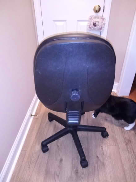 Photo of free 2 Office chairs (Near Parkwood High School) #2