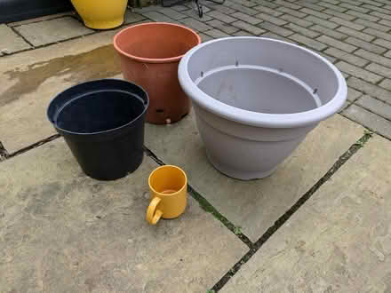 Photo of free 3 plastic plant pots (Mosspark, Glasgow G52) #1