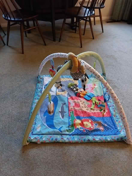 Photo of free Playmat with toys (North Tonbridge TN10) #1