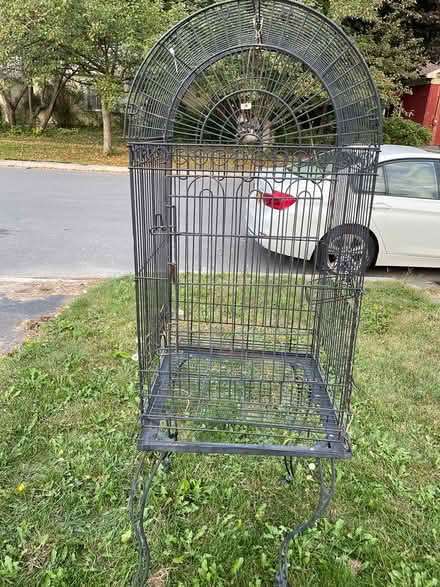 Photo of free Bird cage (Plattsburgh) #1