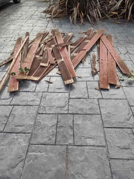 Photo of free Bonfire wood-Dismantled fence panel (Hoole Village CH2) #1