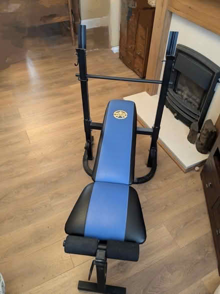 Photo of free Folding exercise/weight-lifting bench (Aldrington BN3) #1