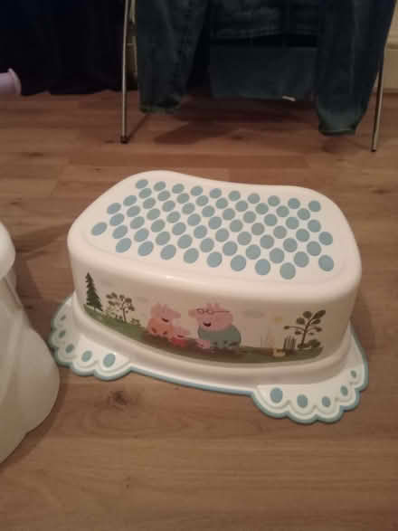 Photo of free Singing praising potty and peppa pig step stool (Wood Farm OX3) #3