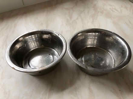 Photo of free Animal bowls (Walderslade Bottom ME5) #1