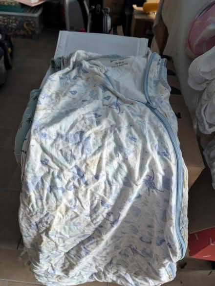 Photo of free Toddler sleeping bags (Stoke Gifford) #1