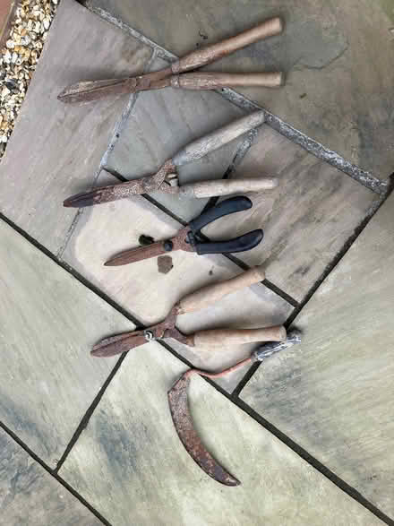 Photo of free Assorted gardening tools (Lindfield RH16) #1