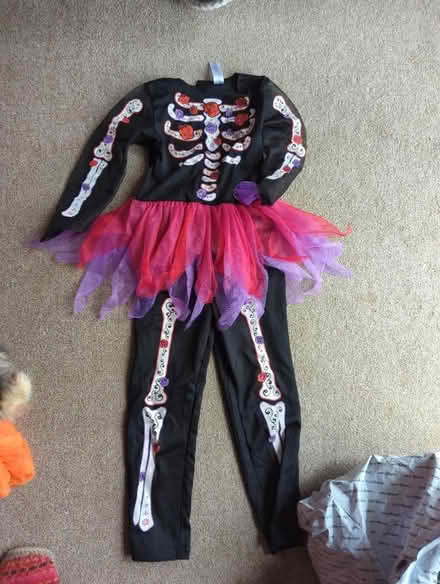 Photo of free Halloween outfit age 5-6 (Surrenden BN1) #1