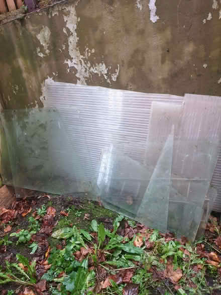 Photo of free Glass pannels (West Midlands B31) #1