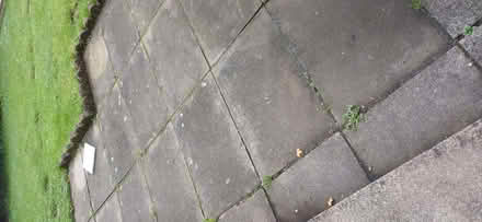 Photo of free Patio pavers (BT10) #1