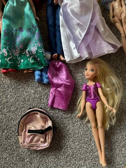 Photo of free Disney dolls (Mickleover) #1