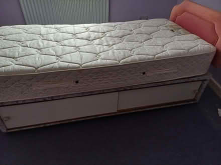 Photo of free Single bed (BT7) #1