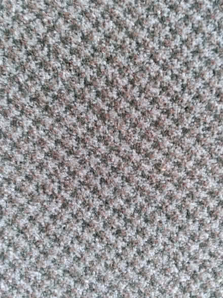 Photo of free Carpet (Ajax) #2