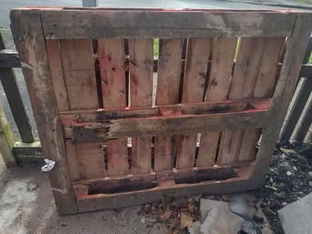 Photo of free Pallet (Ashton-U-Lyne OL6) #1