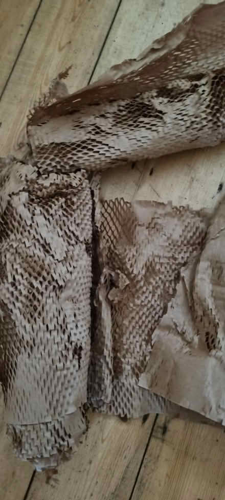 Photo of free Eco packaging (SE25) #1