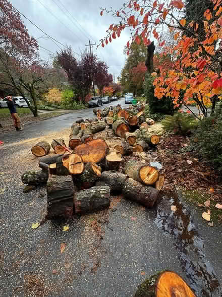 Photo of free firewood (Irvington neighborhood NEP) #1