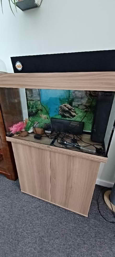 Photo of free Juwel Fish Tank/Aquarium (110L), Cabinet & Accessories (Chalgrove OX44) #1