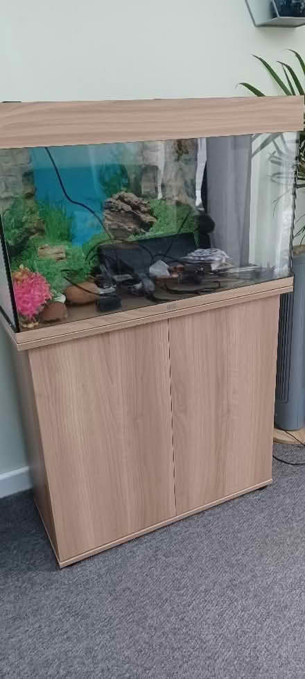 Photo of free Juwel Fish Tank/Aquarium (110L), Cabinet & Accessories (Chalgrove OX44) #2