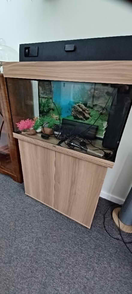 Photo of free Juwel Fish Tank/Aquarium (110L), Cabinet & Accessories (Chalgrove OX44) #4