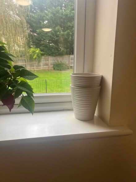 Photo of free Small Plant pots (Weston) #1