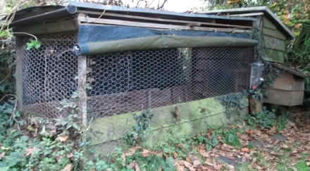 Photo of free Chicken run, coop and nestbox (Llanystumdwy LL52) #1