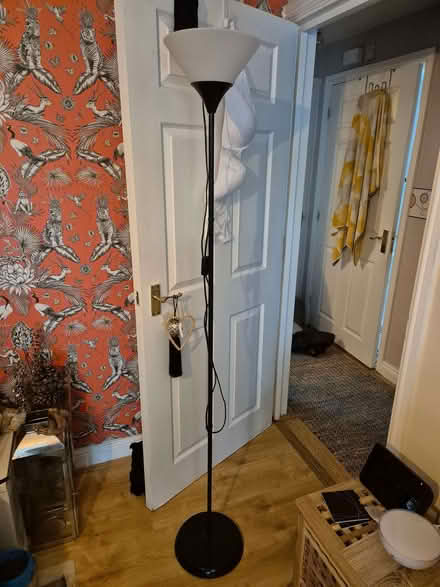 Photo of free Floor Lamp (Dunton Green TN13) #1