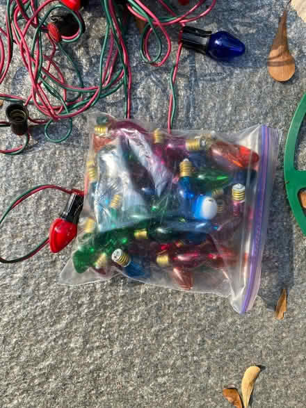 Photo of free Xmas lights w/ large screw in bulbs (ITP-Buckhead Margaret Mitchell) #4