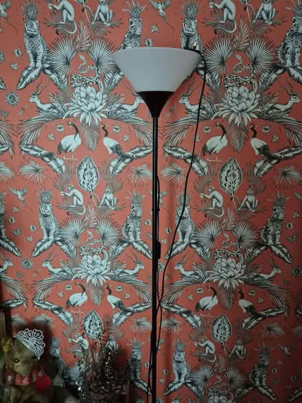 Photo of free Floor lamp (Dunton Green TN13) #1