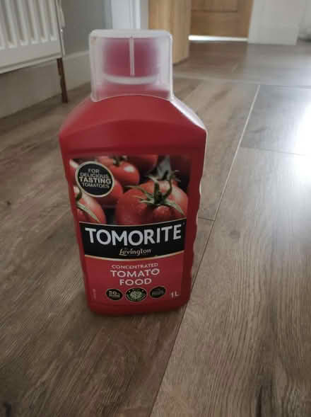 Photo of free Tomato food (G82 Dumbarton) #1