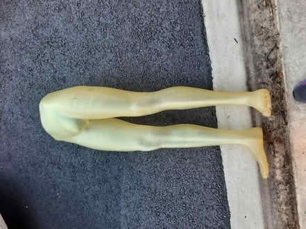 Photo of free 2 male mannequins (Waldorf) #2