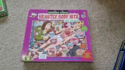 Photo of free 3x Kids 300 Piece Puzzles (Trowbridge BA14) #2