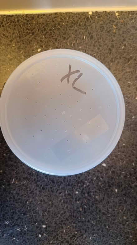 Photo of free Plastic containers (Littlemore OX4) #2