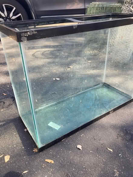 Photo of free Aquarium (Bethesda) #1