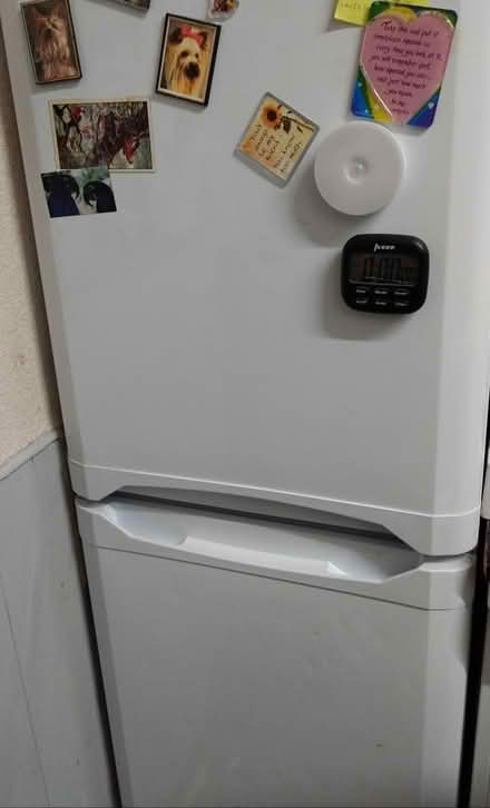 Photo of free Fridge Freezer (Newcastle ST5) #3